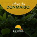 Informações e novidades: conheça o novo blog da Donmario