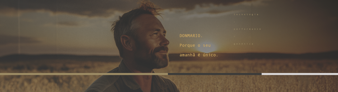 DONMARIO Sementes: conheça a campanha de 2024