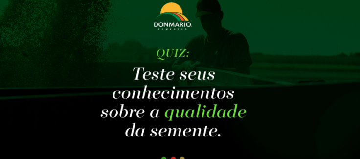 Verdadeiro ou falso? Participe do quiz e teste seus conhecimentos